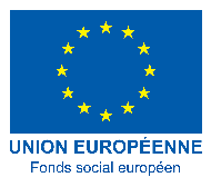 Fonds Social Europeen Nouvelle Aquitaine